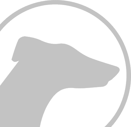 logo watermark